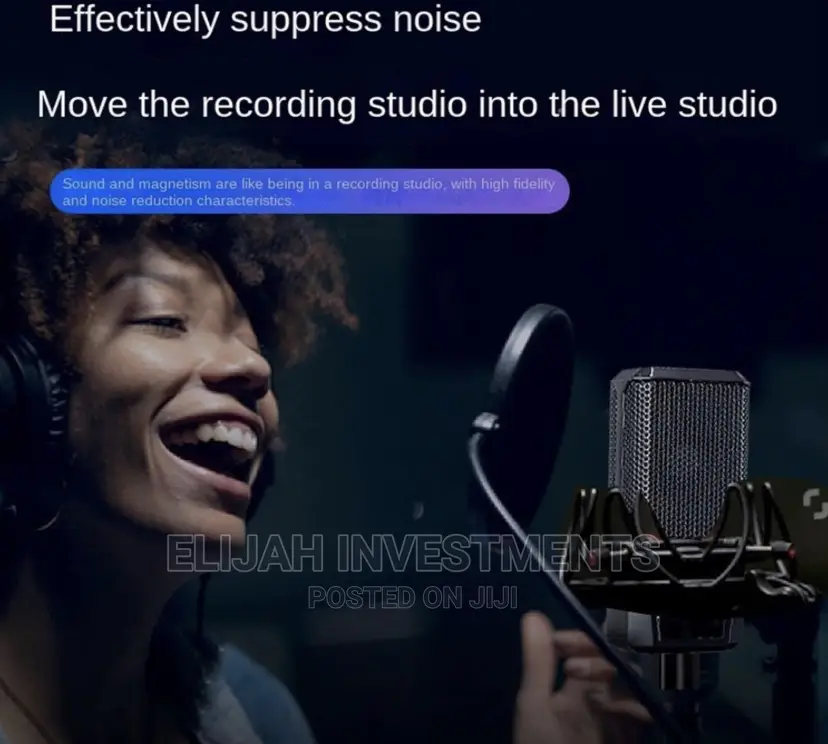 LGT 240 Professional Large Diaphragm Condenser Microphone
