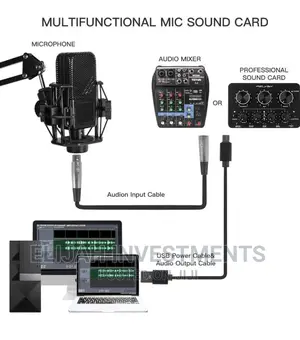 LGT 240 Professional Large Diaphragm Condenser Microphone