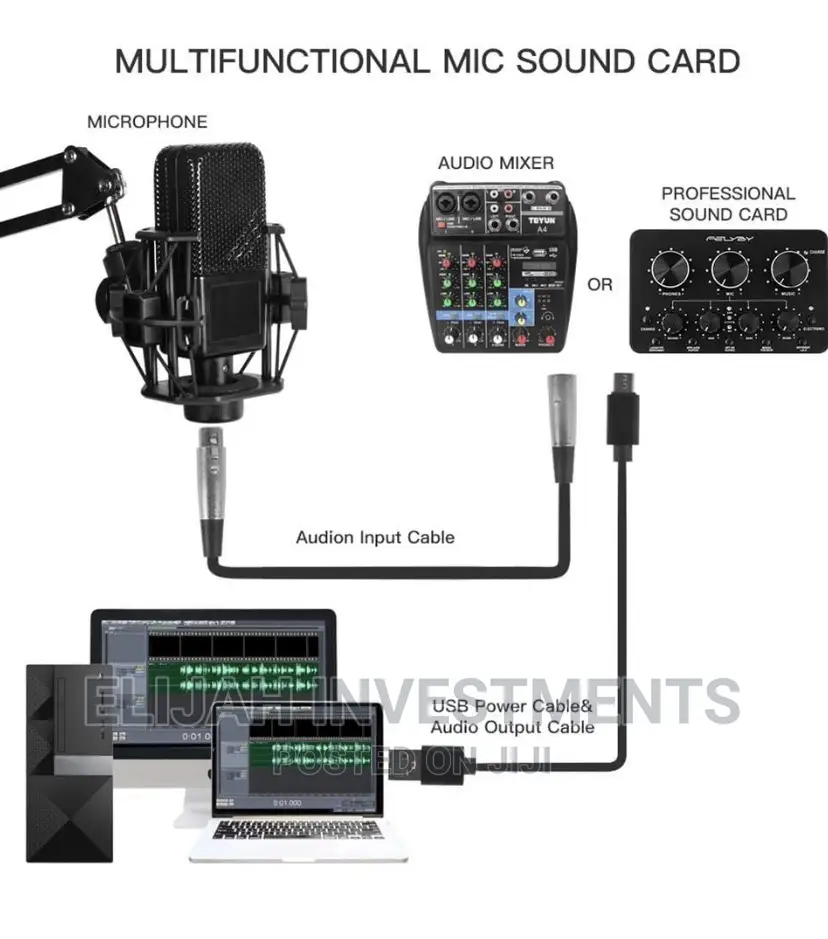 LGT 240 Professional Large Diaphragm Condenser Microphone