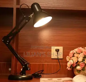 Long Standing Lamp
