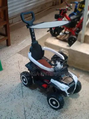Baby Push Car
