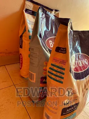 Dog Food Bravo 8 KGS