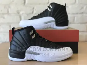 Air Jordan 12 Men Shoes
