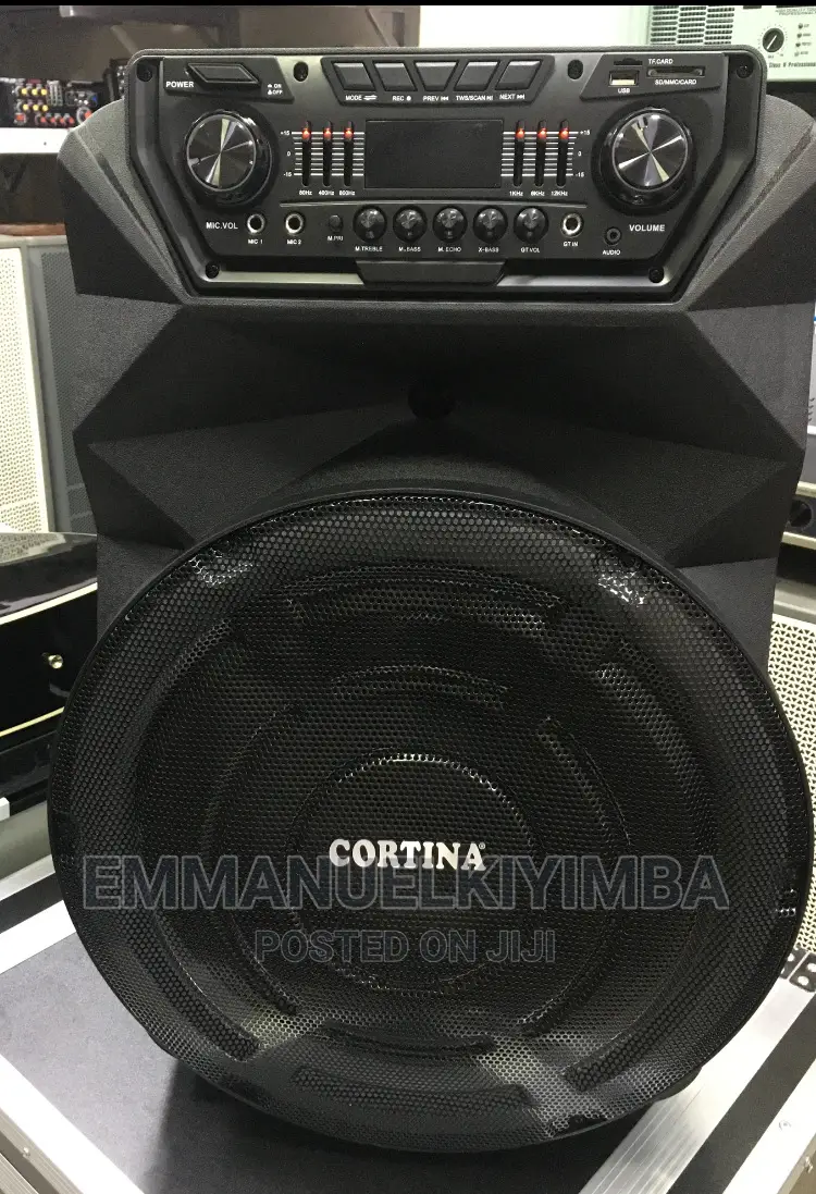 Rechargeable Speaker 15inch