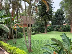 4bdrm Bungalow in Kololo Property, Central Division for rent