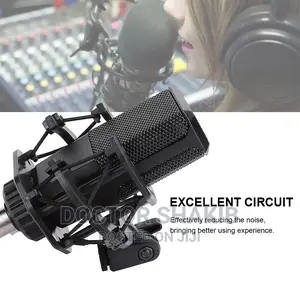 LGT 240 Professional Large Diaphragms Condenser Microphone
