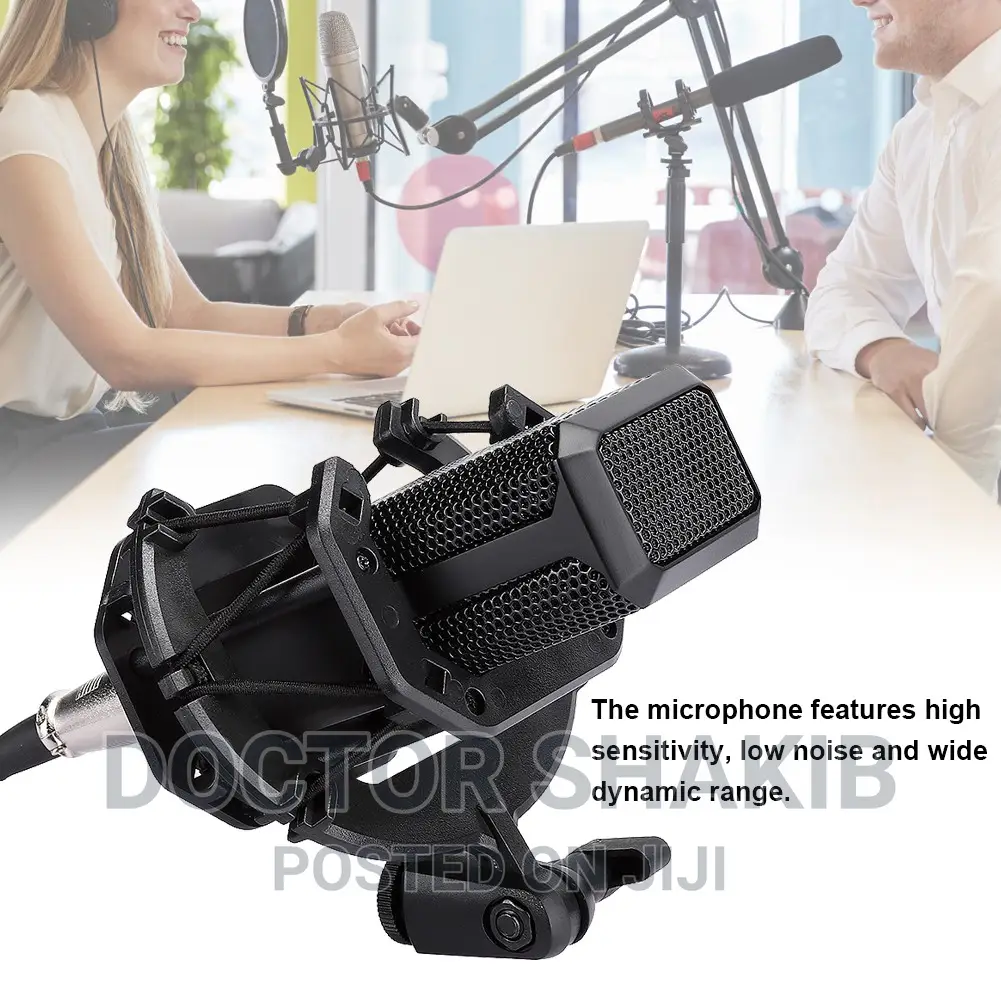 LGT 240 Professional Large Diaphragms Condenser Microphone