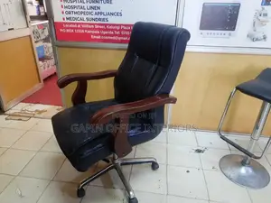 Executive Office Chair
