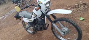 Yamaha DT 175 2017 Silver