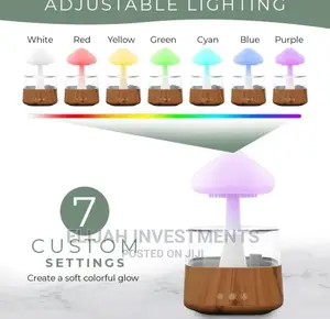 4in1 Mushroom Humidifier/ Raindrop Humidifier