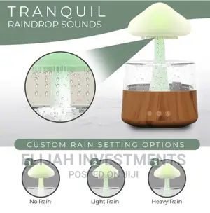 4in1 Mushroom Humidifier/ Raindrop Humidifier