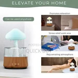 Rain Drop Humidifier, Mushroom Humidifier 4 in 1