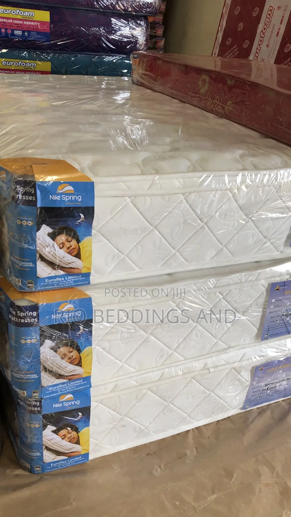 6x6 12 Inches Nile Spring Eurofoam Mattress
