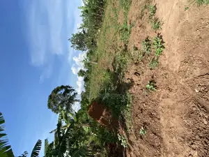 50*100ft Private Mailo Plot for Sale at Nakifuma-Kakinzi