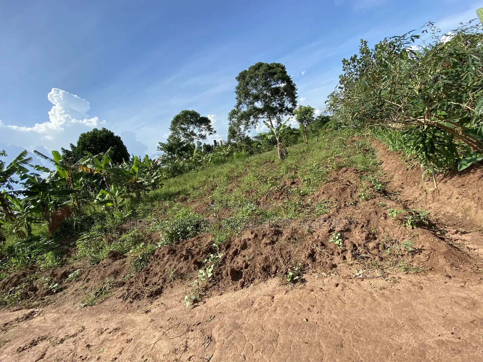 50*100ft Private Mailo Plot for Sale at Nakifuma-Kakinzi
