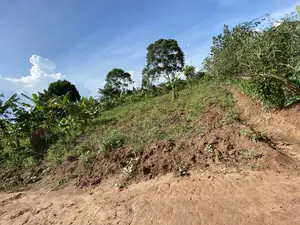 50*100ft Private Mailo Plot for Sale at Nakifuma-Kakinzi