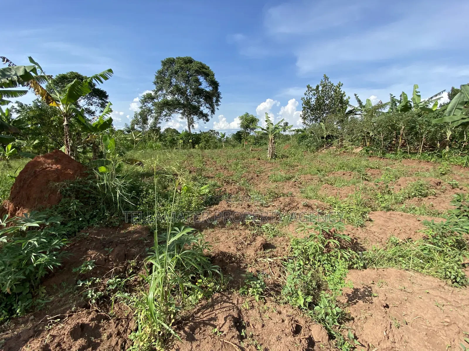 50*100ft Private Mailo Plot for Sale at Nakifuma-Kakinzi