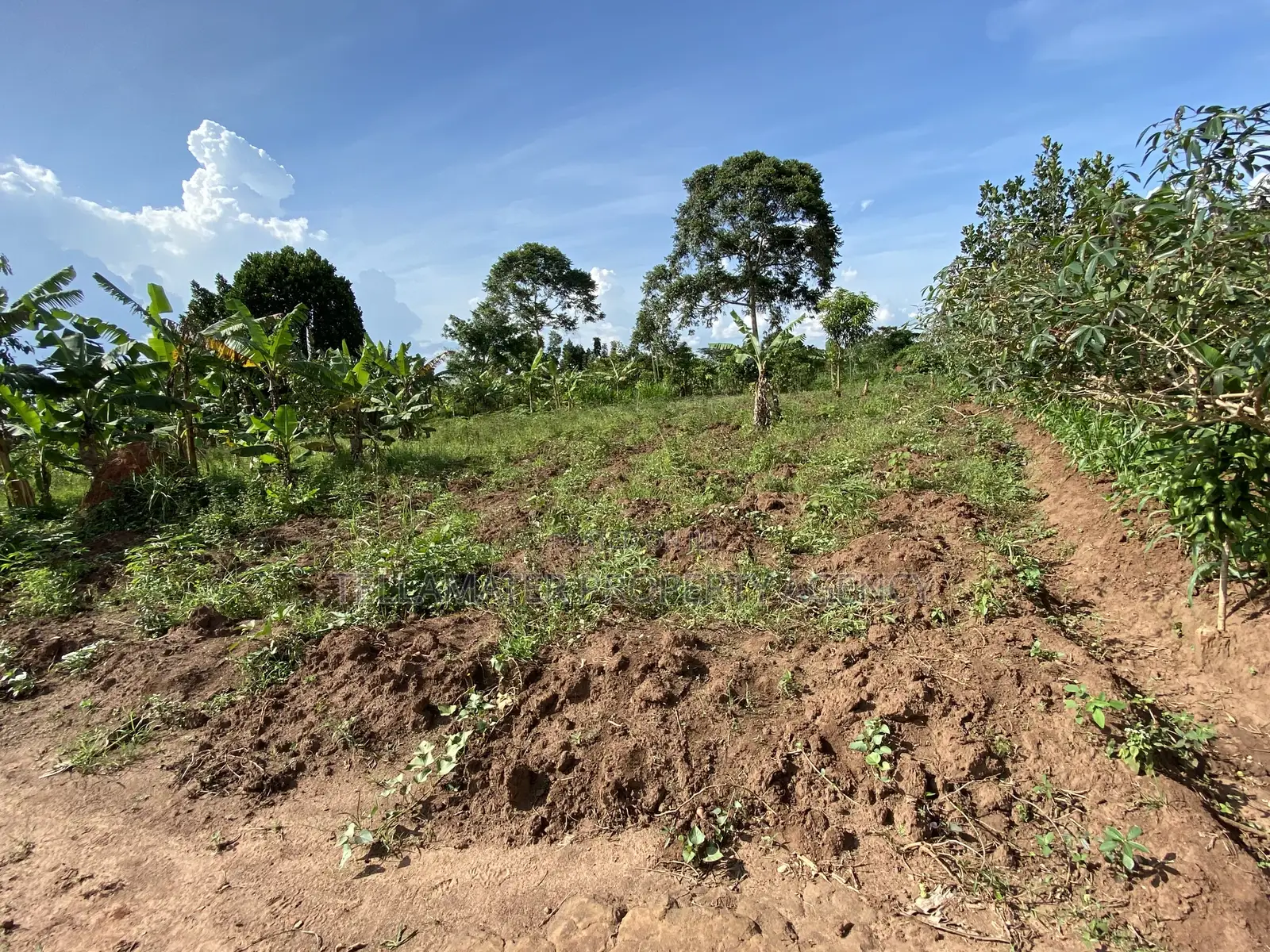 50*100ft Private Mailo Plot for Sale at Nakifuma-Kakinzi