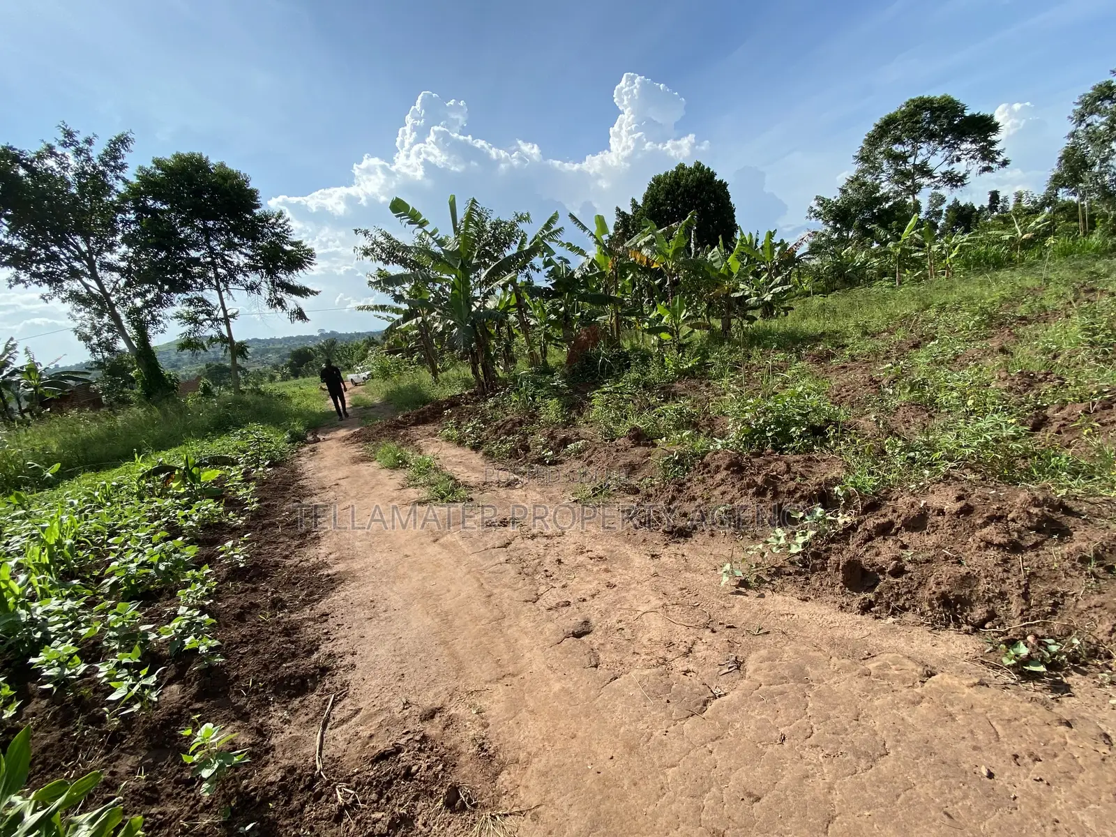 50*100ft Private Mailo Plot for Sale at Nakifuma-Kakinzi