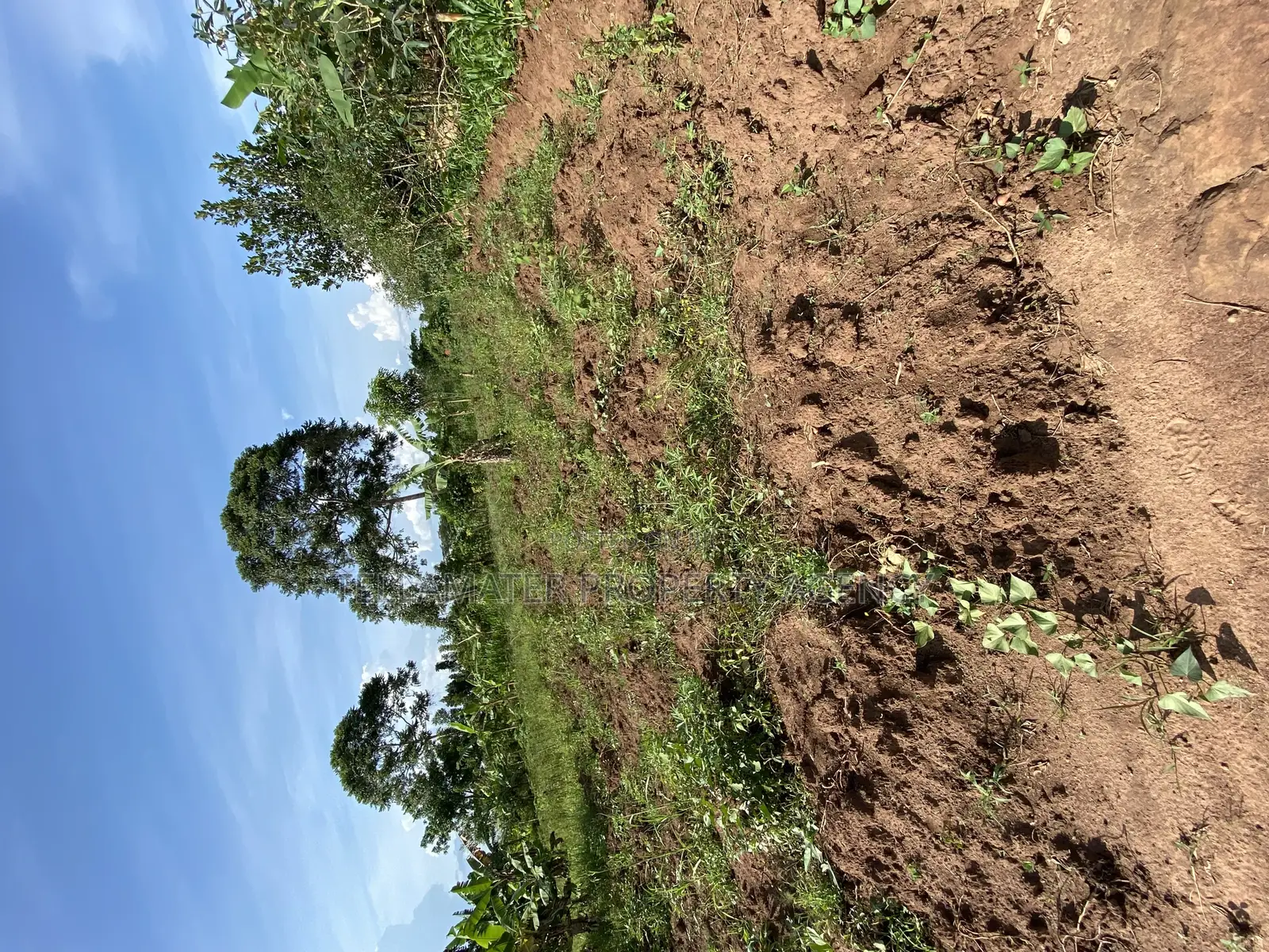 50*100ft Private Mailo Plot for Sale at Nakifuma-Kakinzi
