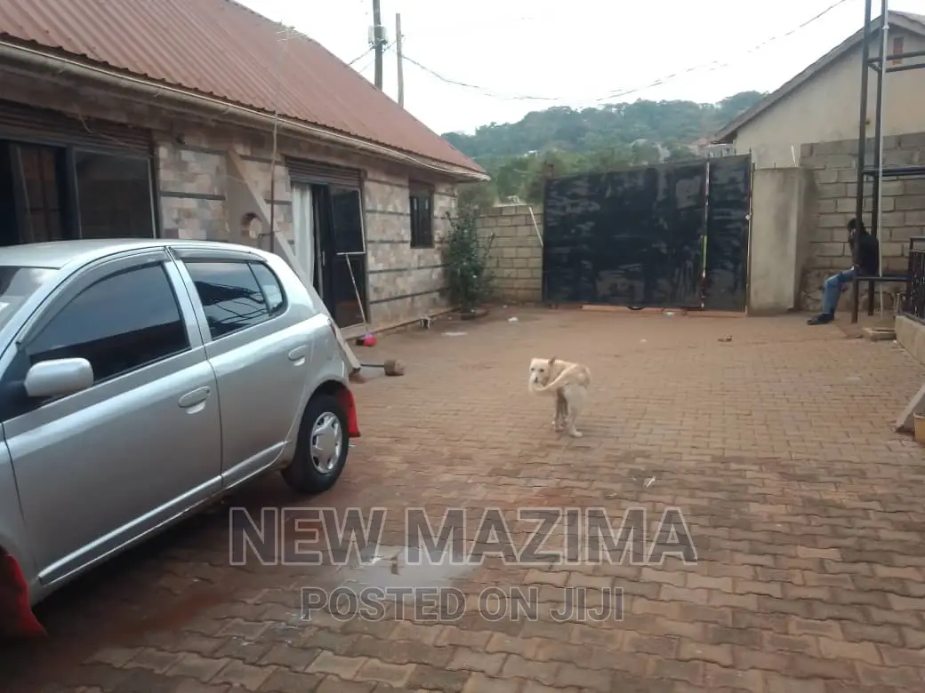 1bdrm House in Makindye Heights, Central Division for rent