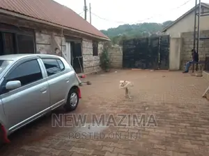 1bdrm House in Makindye Heights, Central Division for rent