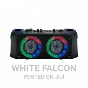 20w Dual Subwoofer Karaoke Portable Speaker