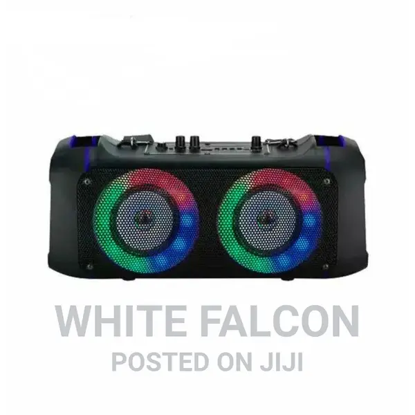 20w Dual Subwoofer Karaoke Portable Speaker