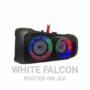20w Dual Subwoofer Karaoke Portable Speaker