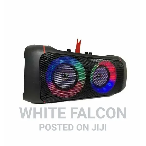 20w Dual Subwoofer Karaoke Portable Speaker