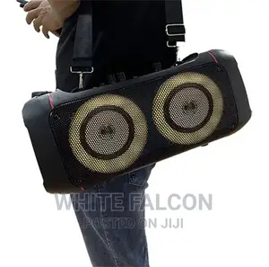20w Dual Subwoofer Karaoke Portable Speaker