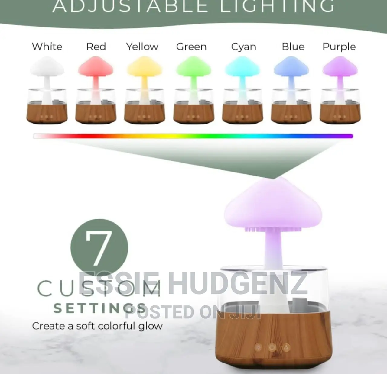 Rain Cloud Humidifier