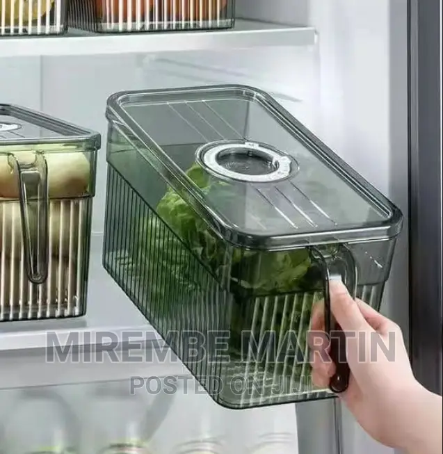 Portable Fridge Food Storage Containers