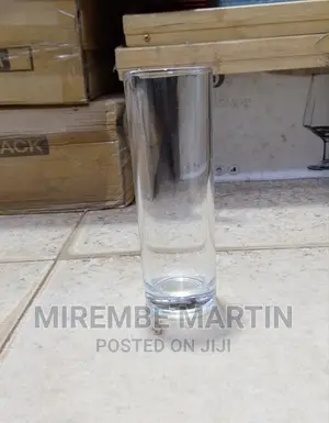 Drinking Juice Glass