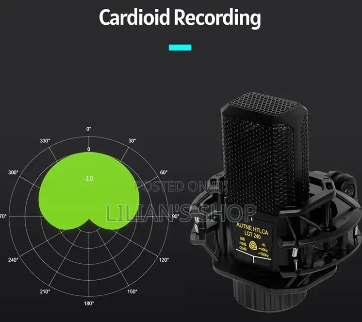 LGT 240 Professional Large Diaphragm Condenser Microphone