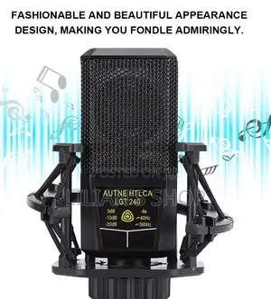 LGT 240 Professional Large Diaphragm Condenser Microphone