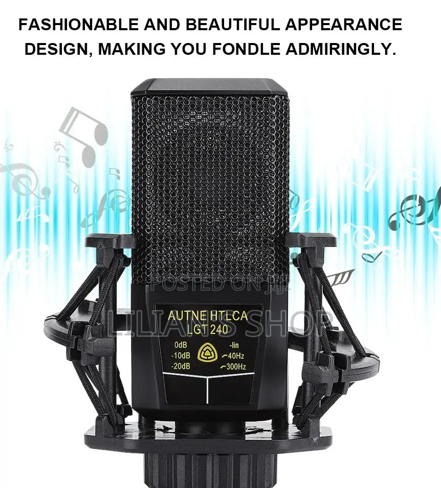 LGT 240 Professional Large Diaphragm Condenser Microphone