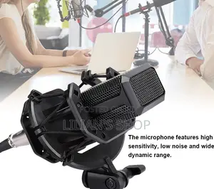 LGT 240 Professional Large Diaphragm Condenser Microphone