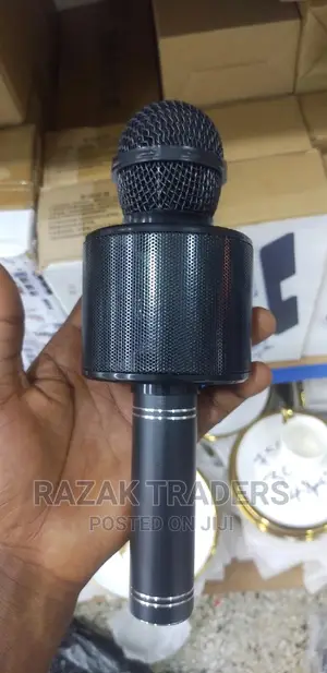 Handheld KTV Wireless Mic With Microphone