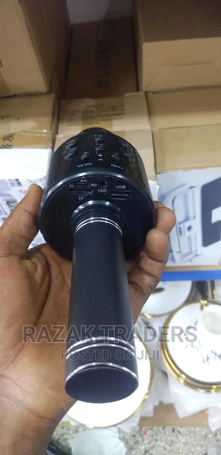 Handheld KTV Wireless Mic With Microphone