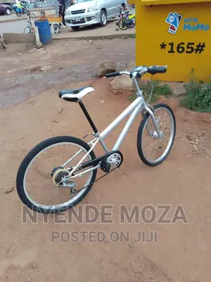 Lutana Sports Bicycle