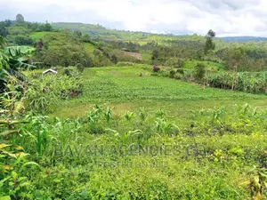 3 Acres of Land for Sale in Rwetera, Fort Portal.