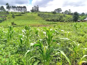 3 Acres of Land for Sale in Rwetera, Fort Portal.