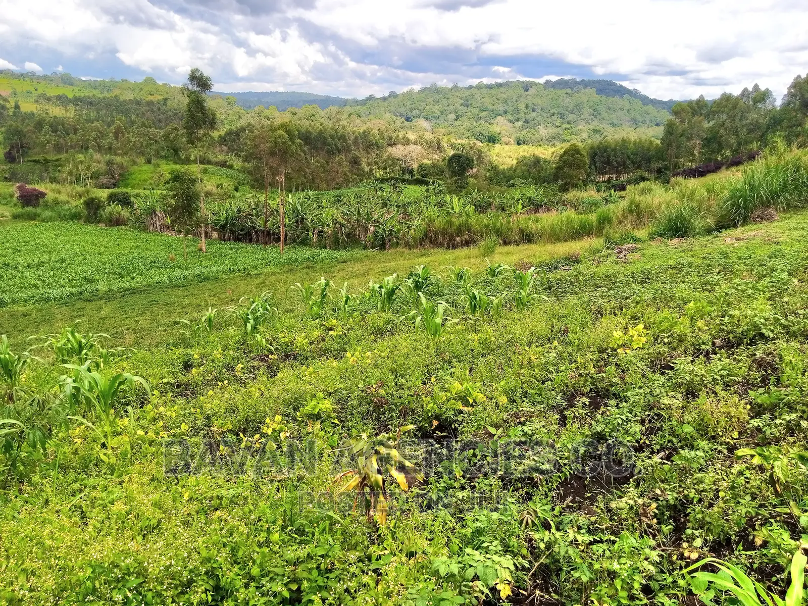 3 Acres of Land for Sale in Rwetera, Fort Portal.