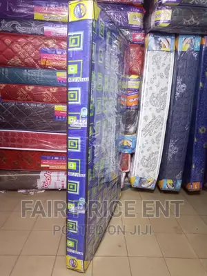 Nilefoam Mattress Sealed Cover.5x6x6inches.( Blue)