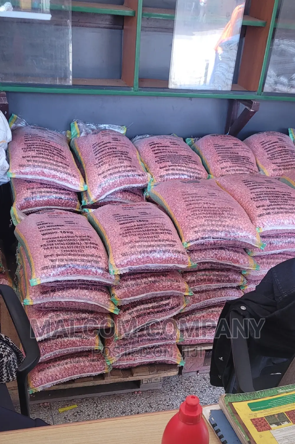 Maize Seeds Wholesalers