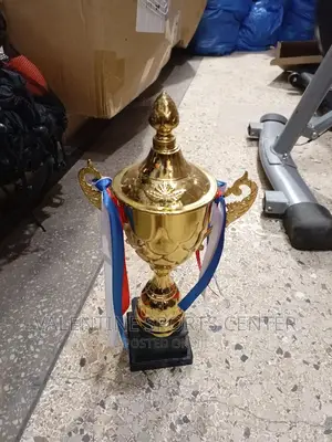Sports Trophy Original Materials Small Size