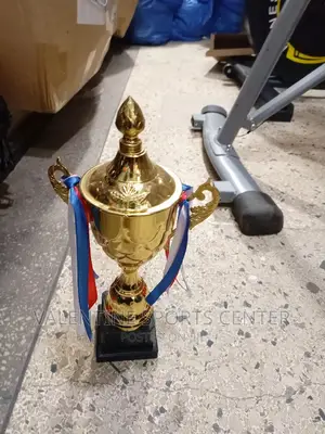 Sports Trophy Original Materials Small Size