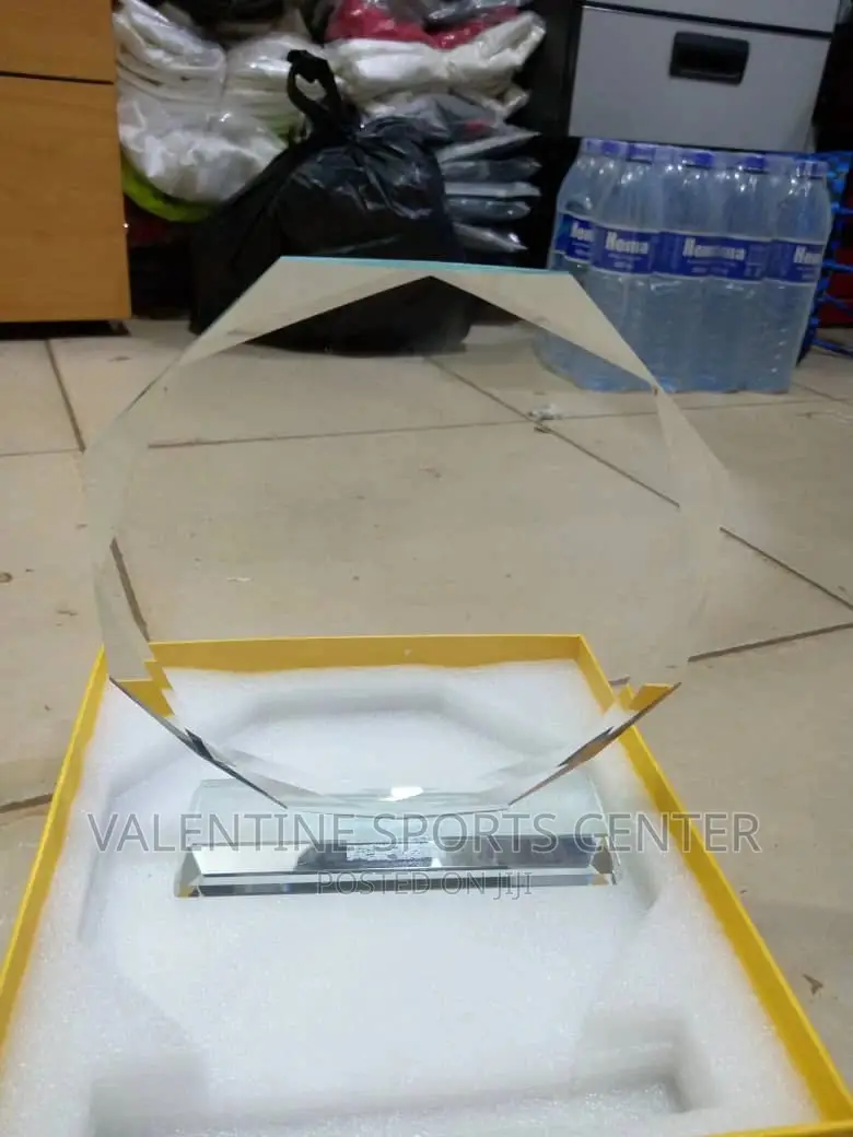 Award Trophies Original Materials All Different Types