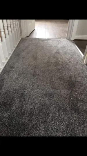 Woolen Carpets
